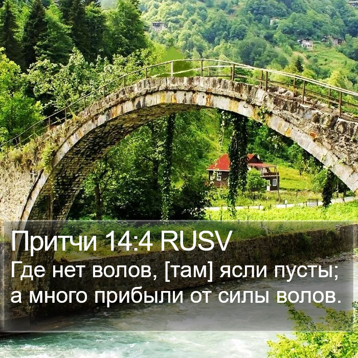 Притчи 14:4 RUSV Bible Study