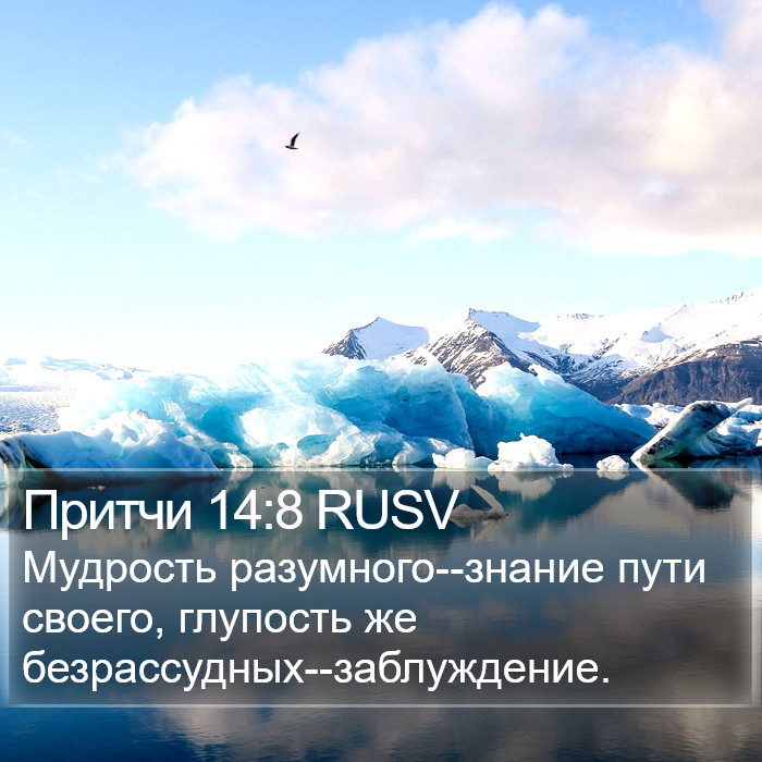 Притчи 14:8 RUSV Bible Study