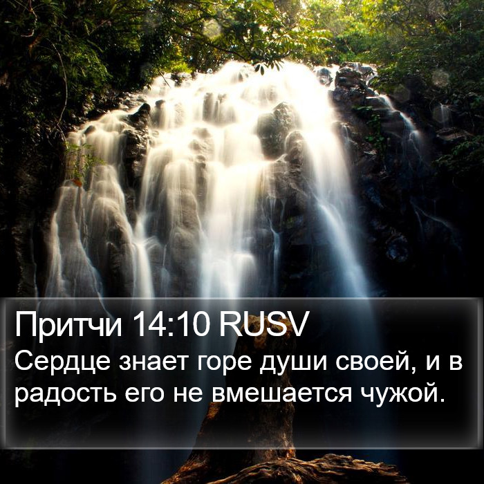 Притчи 14:10 RUSV Bible Study