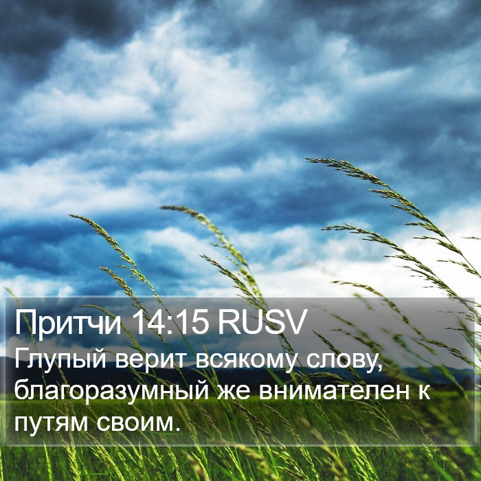 Притчи 14:15 RUSV Bible Study