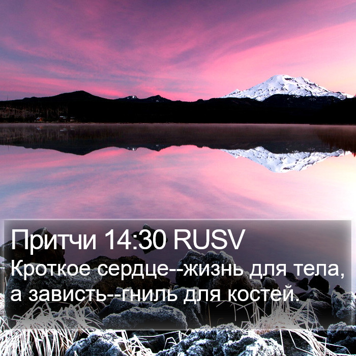 Притчи 14:30 RUSV Bible Study