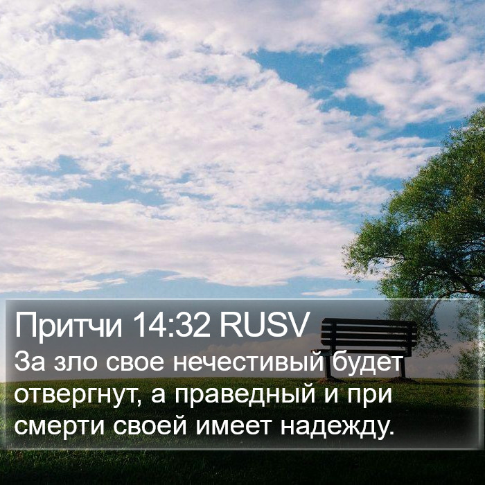 Притчи 14:32 RUSV Bible Study