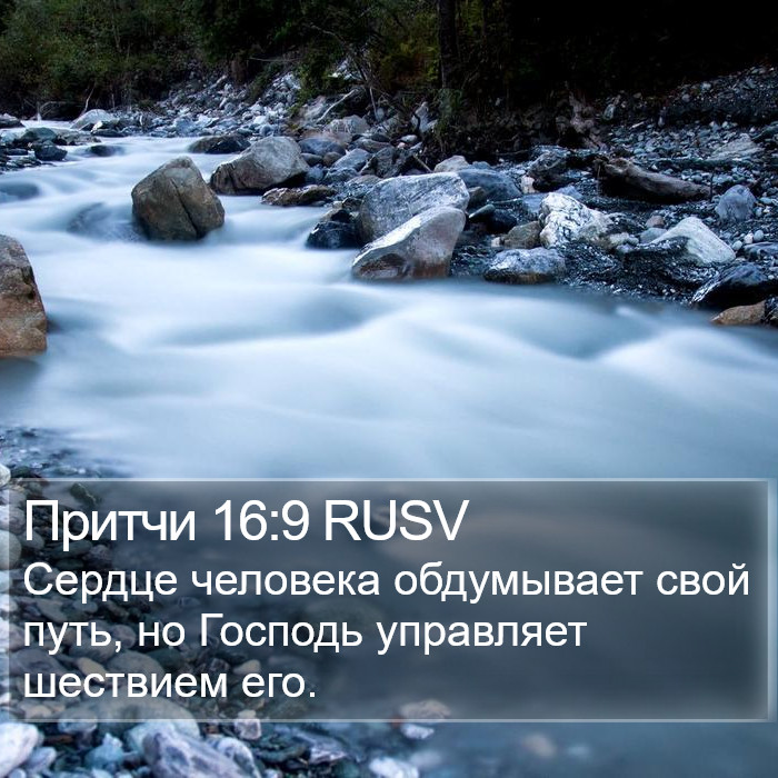 Притчи 16:9 RUSV Bible Study