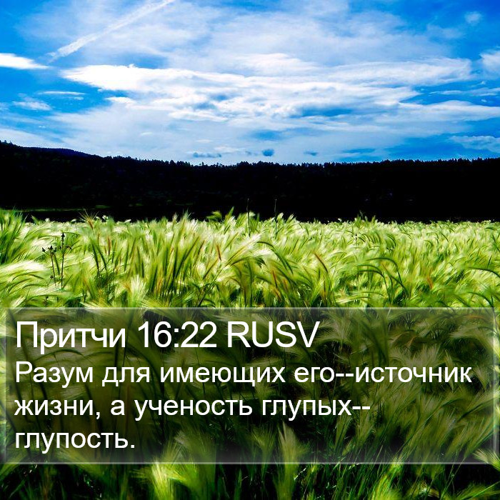 Притчи 16:22 RUSV Bible Study