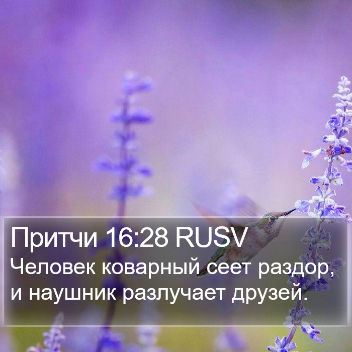 Притчи 16:28 RUSV Bible Study