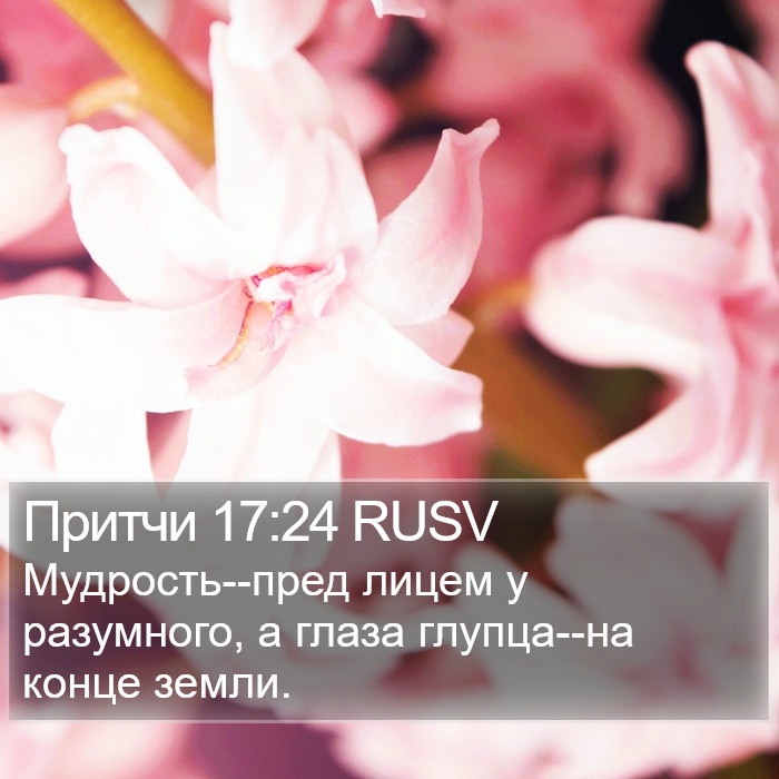 Притчи 17:24 RUSV Bible Study