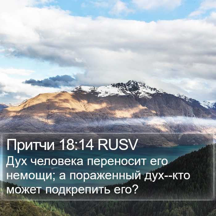 Притчи 18:14 RUSV Bible Study