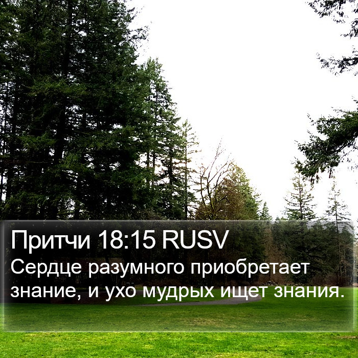 Притчи 18:15 RUSV Bible Study