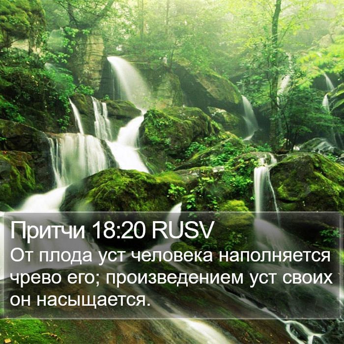 Притчи 18:20 RUSV Bible Study