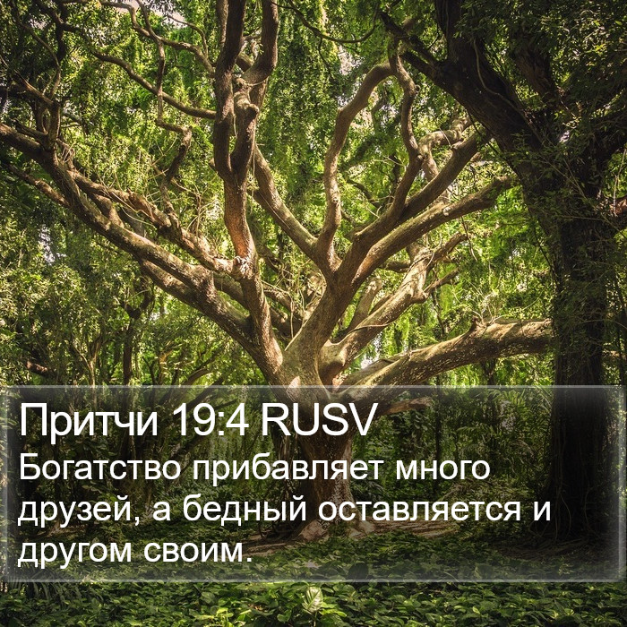 Притчи 19:4 RUSV Bible Study