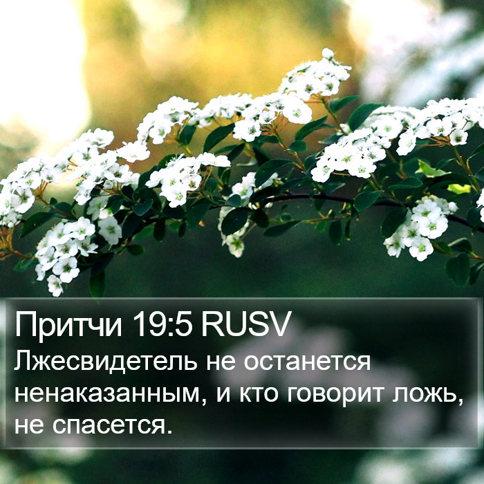 Притчи 19:5 RUSV Bible Study