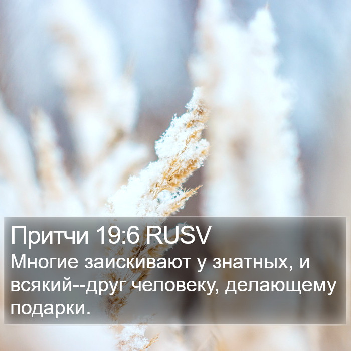 Притчи 19:6 RUSV Bible Study