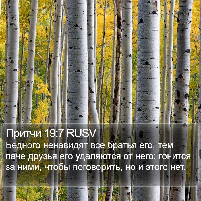 Притчи 19:7 RUSV Bible Study