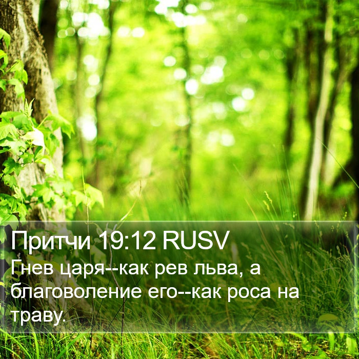 Притчи 19:12 RUSV Bible Study