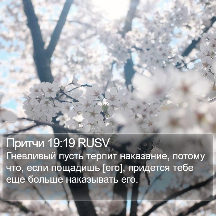 Притчи 19:19 RUSV Bible Study