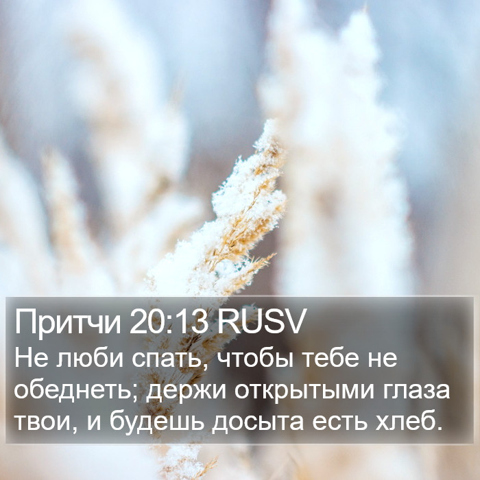 Притчи 20:13 RUSV Bible Study