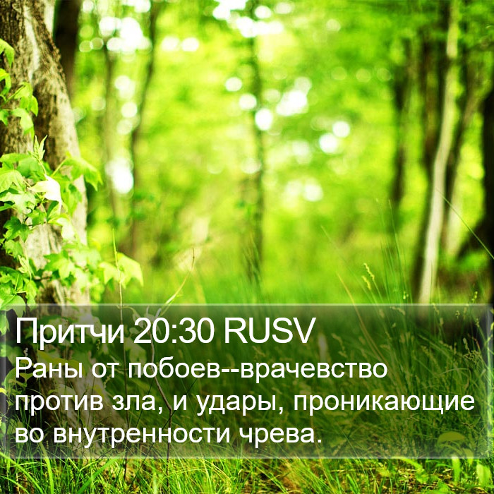 Притчи 20:30 RUSV Bible Study