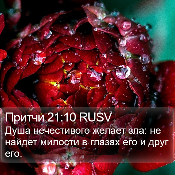 Притчи 21:10 RUSV Bible Study