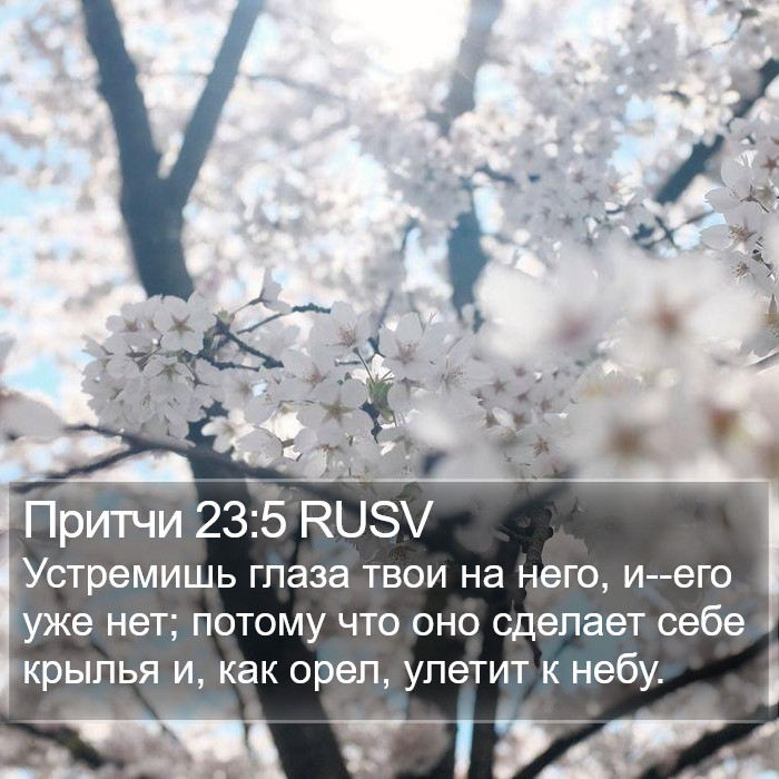 Притчи 23:5 RUSV Bible Study