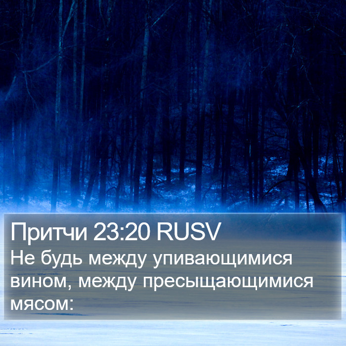 Притчи 23:20 RUSV Bible Study