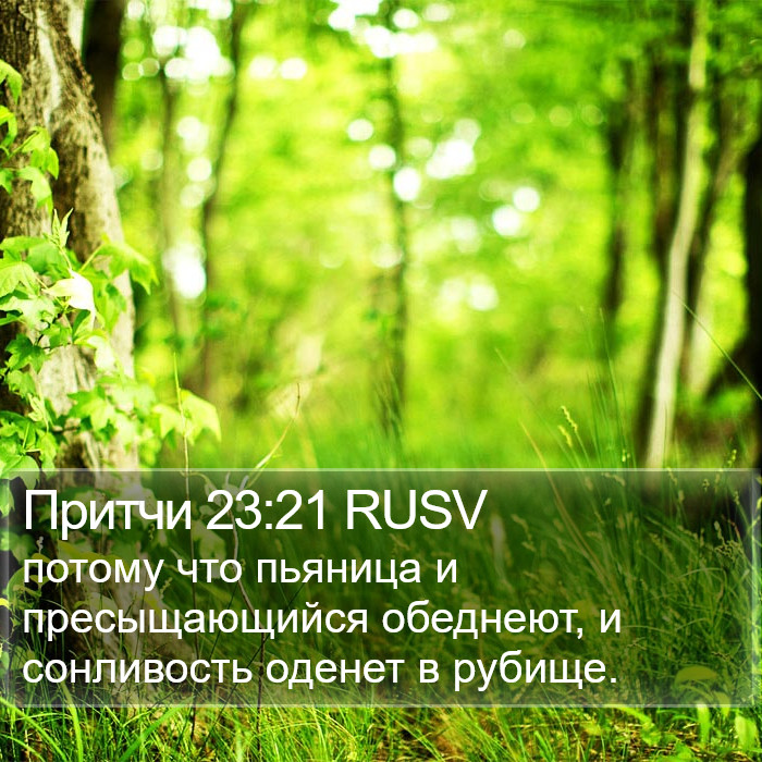 Притчи 23:21 RUSV Bible Study