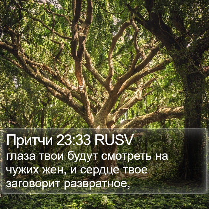 Притчи 23:33 RUSV Bible Study