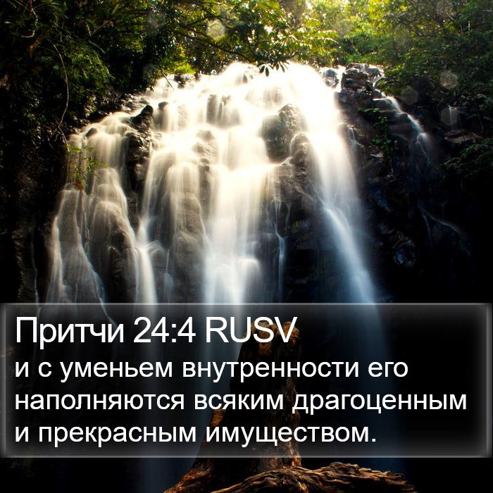 Притчи 24:4 RUSV Bible Study