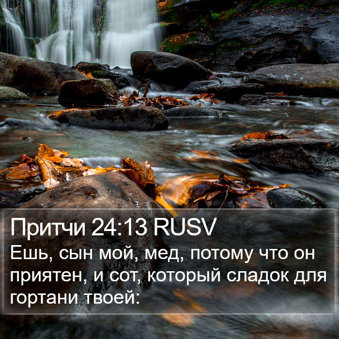 Притчи 24:13 RUSV Bible Study