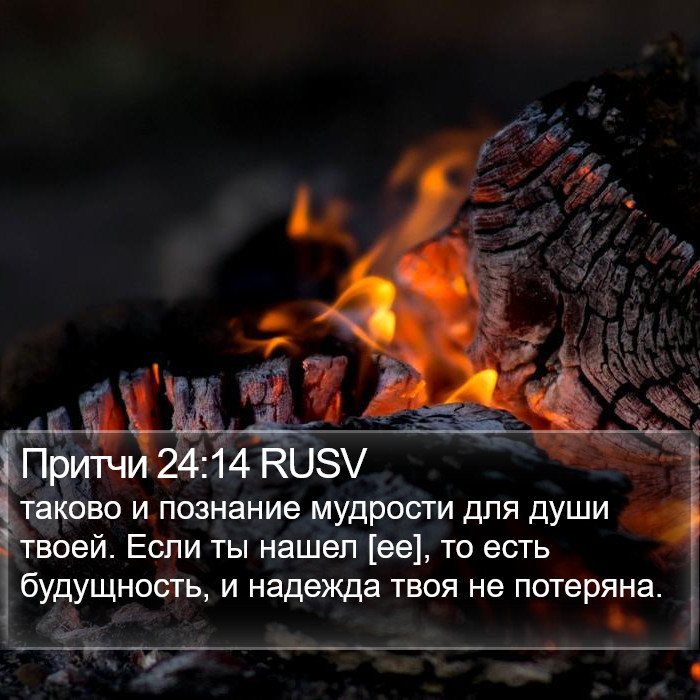 Притчи 24:14 RUSV Bible Study