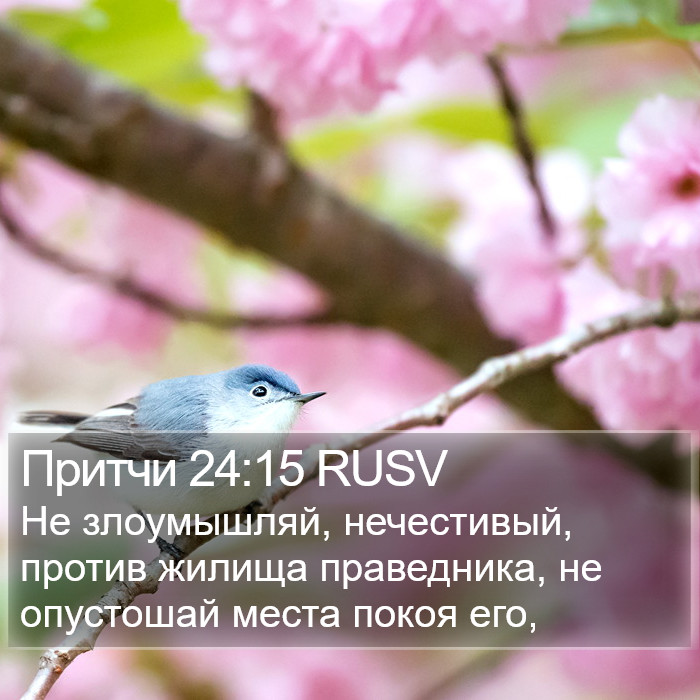 Притчи 24:15 RUSV Bible Study