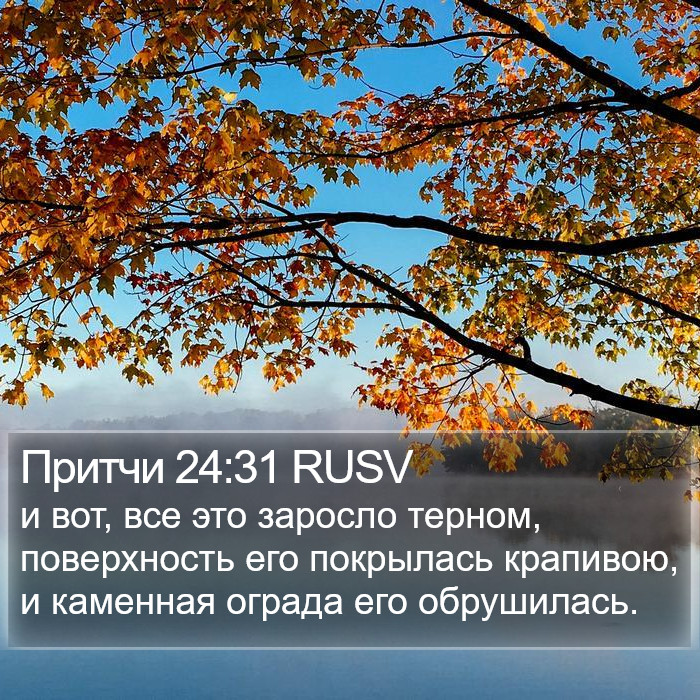 Притчи 24:31 RUSV Bible Study