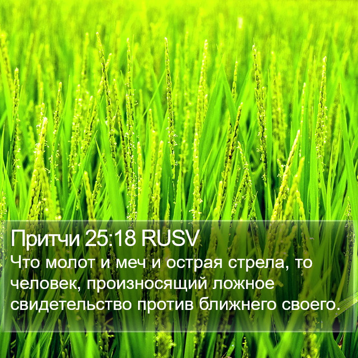 Притчи 25:18 RUSV Bible Study