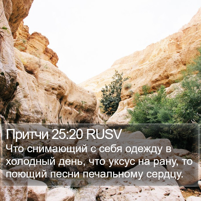 Притчи 25:20 RUSV Bible Study