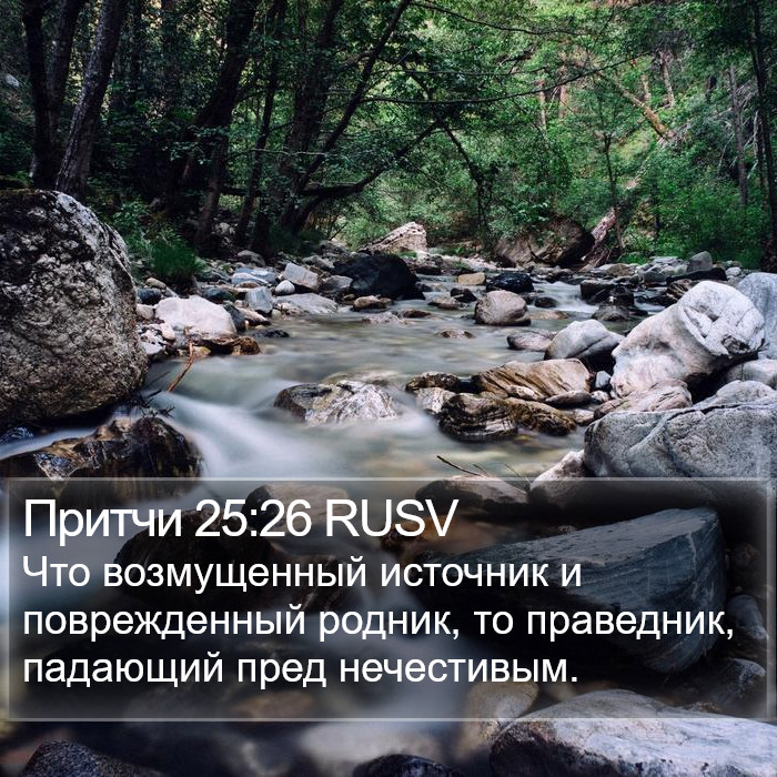 Притчи 25:26 RUSV Bible Study