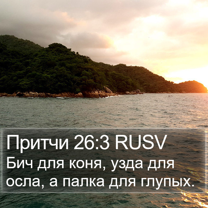 Притчи 26:3 RUSV Bible Study