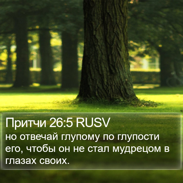 Притчи 26:5 RUSV Bible Study