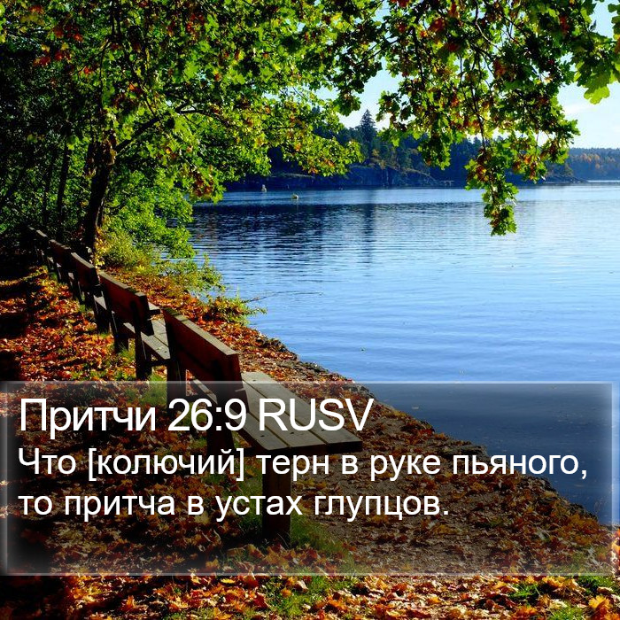 Притчи 26:9 RUSV Bible Study