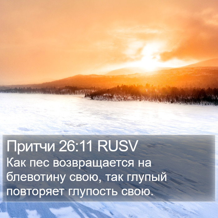 Притчи 26:11 RUSV Bible Study