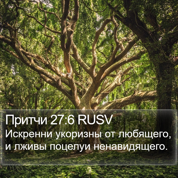 Притчи 27:6 RUSV Bible Study