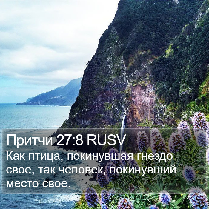 Притчи 27:8 RUSV Bible Study