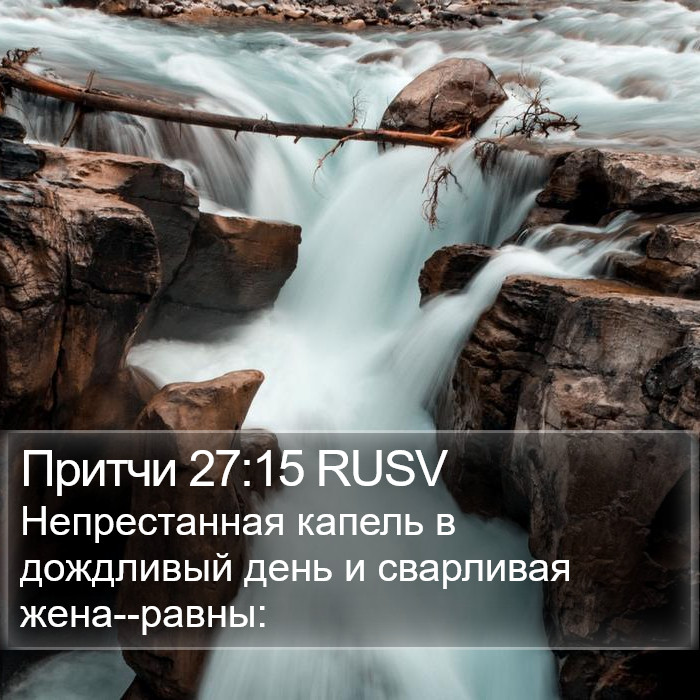 Притчи 27:15 RUSV Bible Study