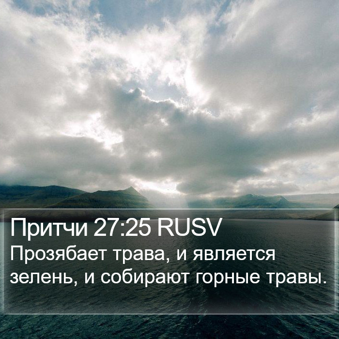 Притчи 27:25 RUSV Bible Study