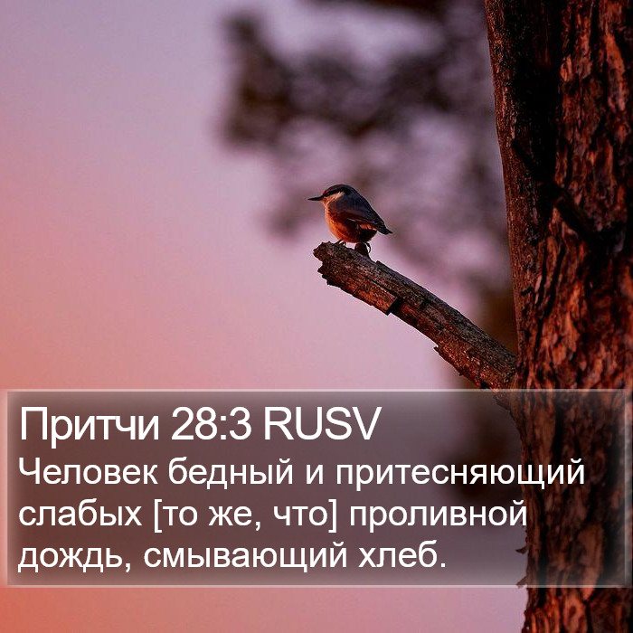 Притчи 28:3 RUSV Bible Study