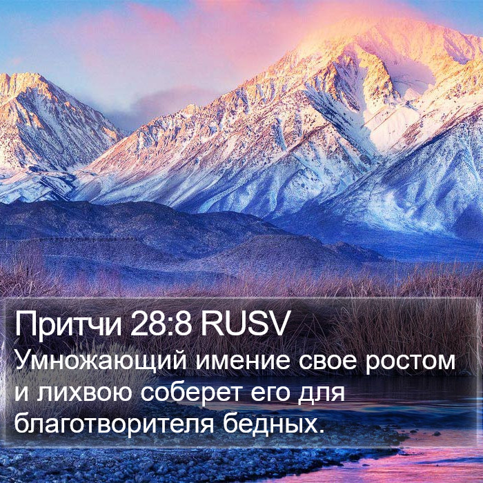 Притчи 28:8 RUSV Bible Study