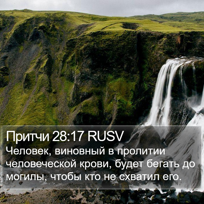 Притчи 28:17 RUSV Bible Study