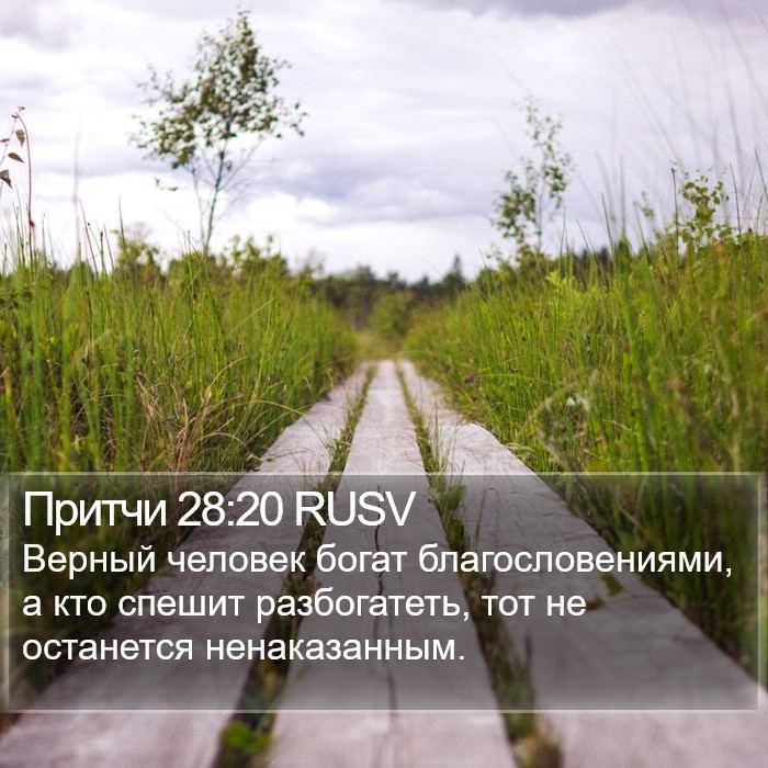 Притчи 28:20 RUSV Bible Study