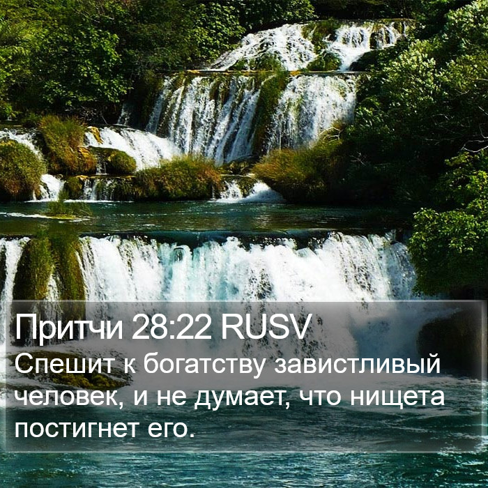 Притчи 28:22 RUSV Bible Study