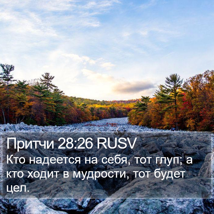 Притчи 28:26 RUSV Bible Study