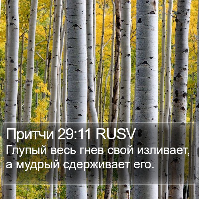 Притчи 29:11 RUSV Bible Study