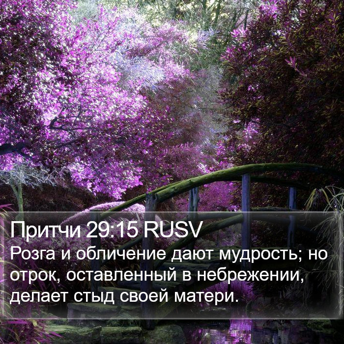 Притчи 29:15 RUSV Bible Study